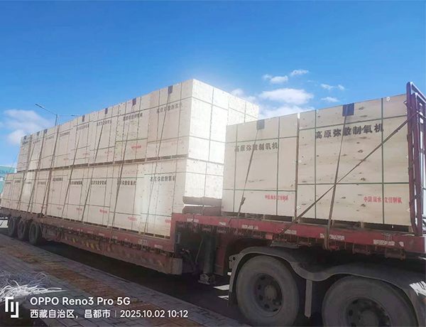 1766217055717787.jpg 未標題-1.jpg